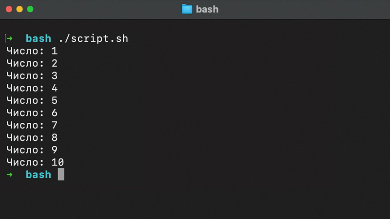 Что такое Linux Bash и как им пользоваться