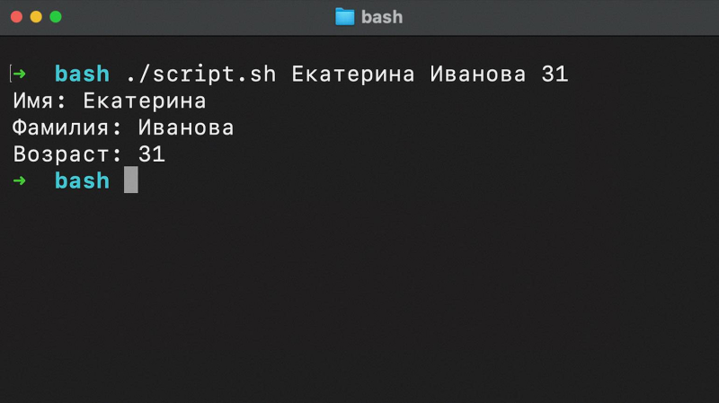 Что такое Linux Bash и как им пользоваться