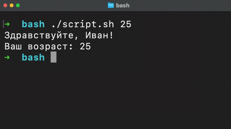 Что такое Linux Bash и как им пользоваться