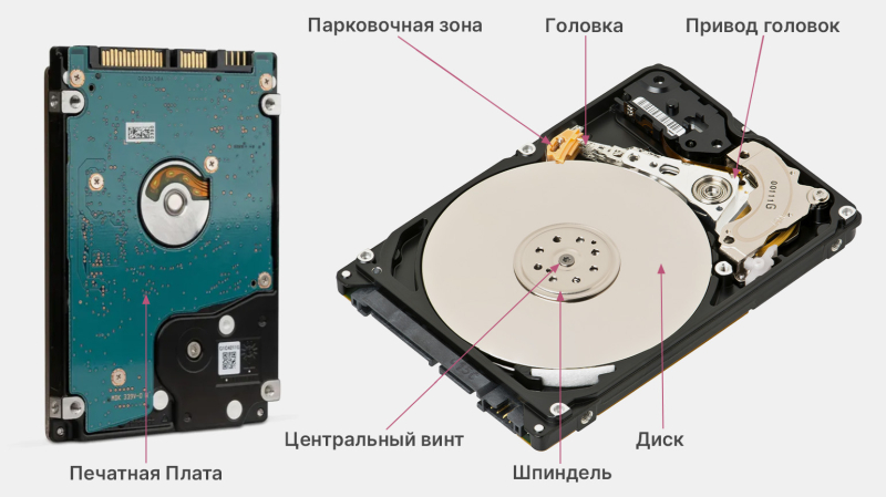 Из чего состоит компьютер: секреты процессора, видеокарты и блока питания