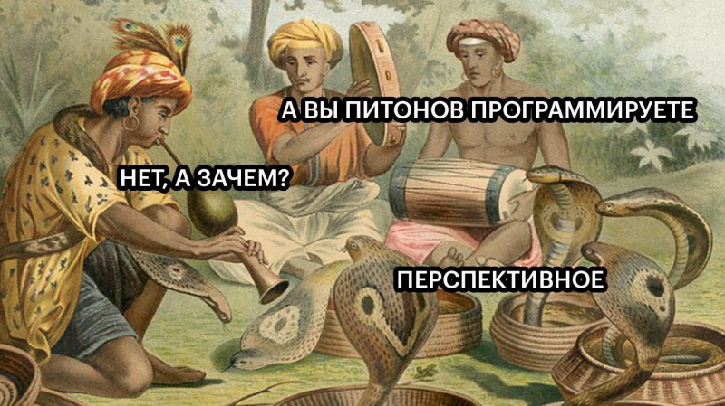 Как изучить Python самостоятельно и бесплатно: алгоритм