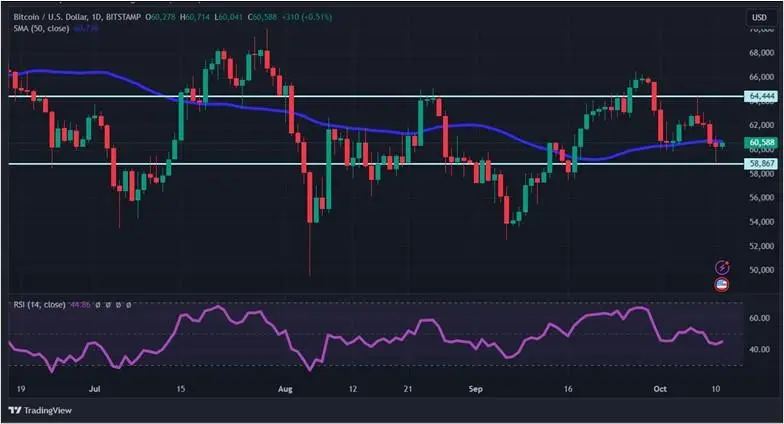 Криптовалютные рекорды: аномальные показатели BTC, ETH и SUI