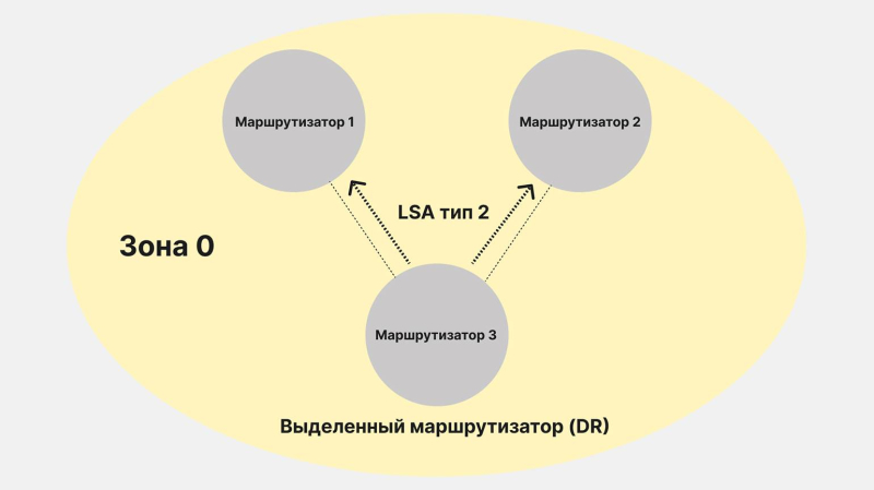 Протокол OSPF: что это, для чего он нужен и как работает