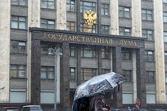 В Госдуму внесли проект о механизме снятия запрета с террористических организаций