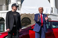 В России иронично высказались о покаянии Маска перед Трампом